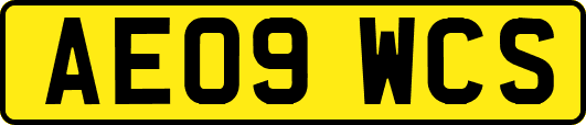 AE09WCS