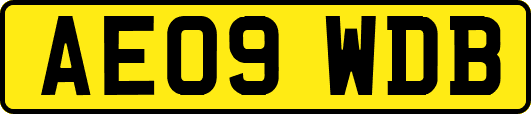 AE09WDB