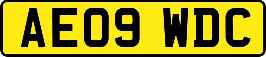 AE09WDC