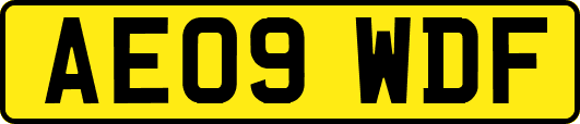 AE09WDF