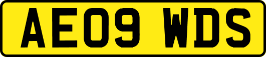 AE09WDS