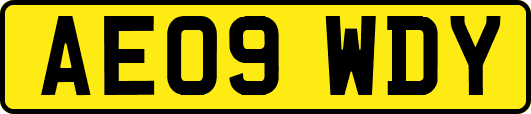 AE09WDY