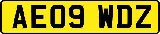 AE09WDZ