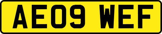 AE09WEF
