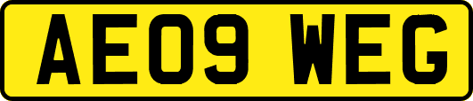 AE09WEG