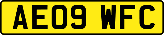 AE09WFC