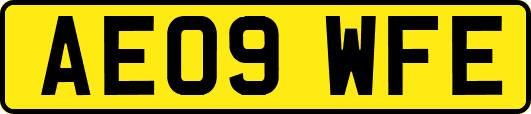 AE09WFE