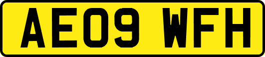 AE09WFH