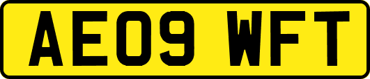 AE09WFT