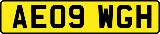 AE09WGH