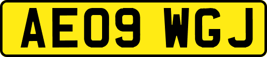 AE09WGJ