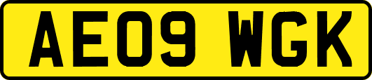 AE09WGK