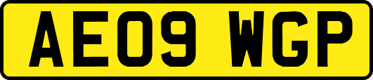 AE09WGP