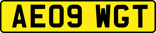 AE09WGT