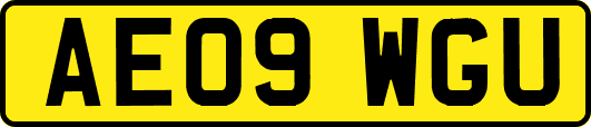 AE09WGU