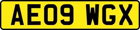 AE09WGX