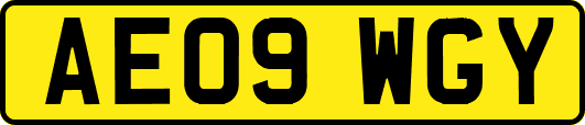 AE09WGY