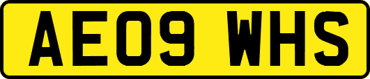 AE09WHS