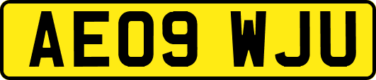 AE09WJU