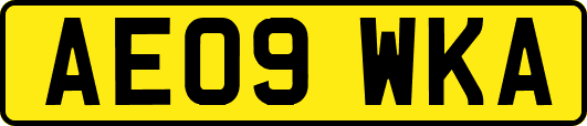 AE09WKA