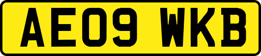 AE09WKB