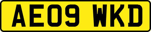 AE09WKD