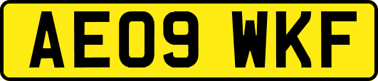 AE09WKF