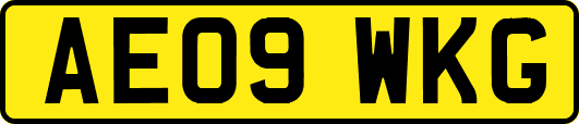 AE09WKG