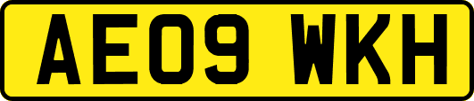 AE09WKH