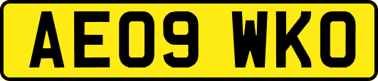 AE09WKO