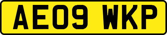 AE09WKP
