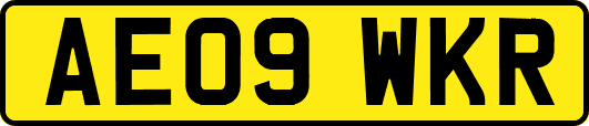 AE09WKR