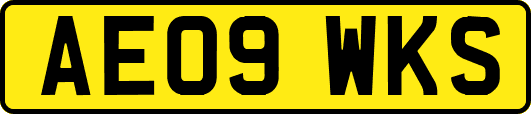 AE09WKS