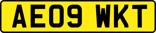AE09WKT
