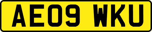 AE09WKU