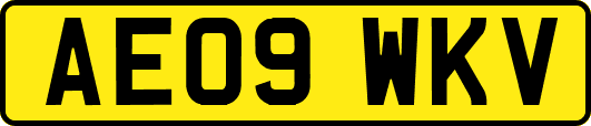 AE09WKV