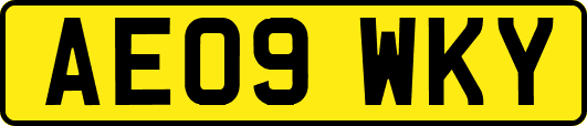 AE09WKY