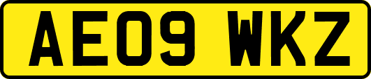 AE09WKZ