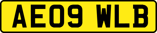 AE09WLB