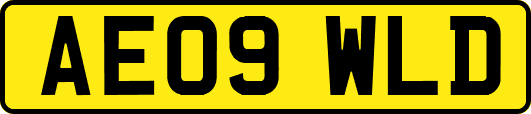 AE09WLD