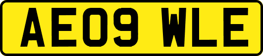 AE09WLE