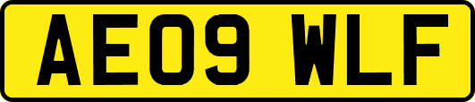 AE09WLF