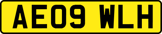 AE09WLH