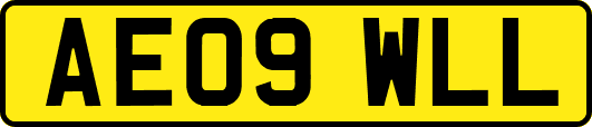 AE09WLL