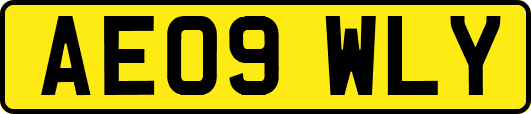 AE09WLY