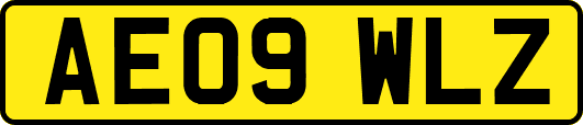 AE09WLZ