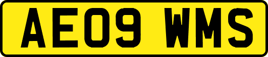 AE09WMS
