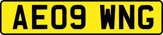 AE09WNG