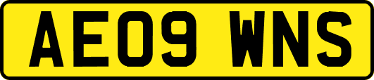 AE09WNS