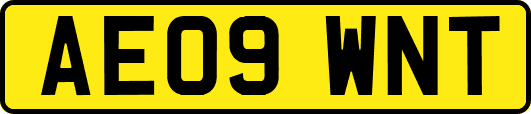 AE09WNT